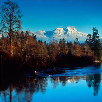 星空体育2024下载手机app下载截图