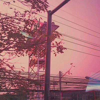 必赢亚洲手机app下载