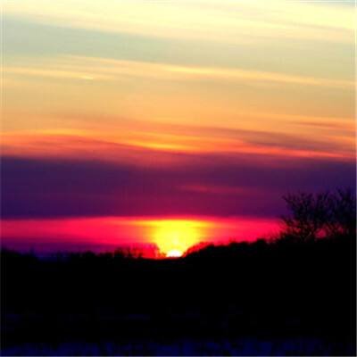 乐发彩票APP下载